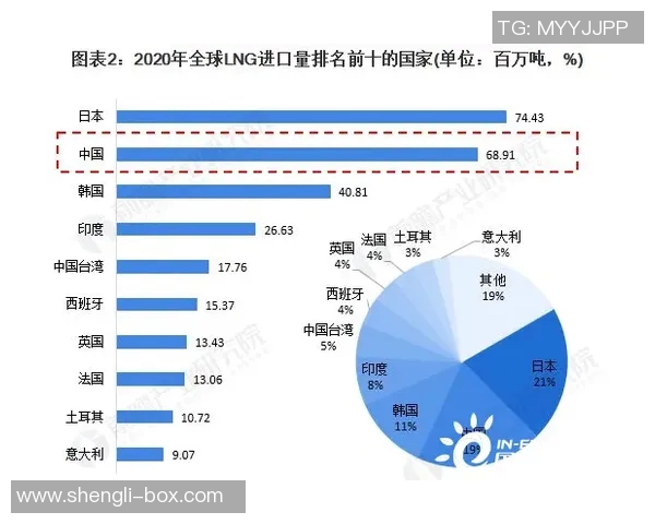 LNG反击策略深度分析：如何在竞争中逆风翻盘