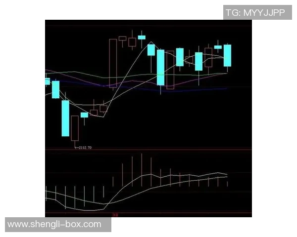 广州网球队防守策略深度解析与技术创新探讨 广州网球队防守策略深度解析与技术创新探讨