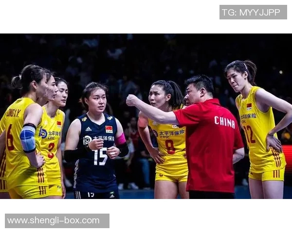 成都排球队实力引发热议球迷观点各异争论不断