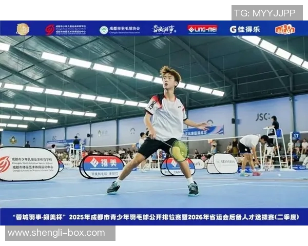 羽毛球状态排行榜揭晓成都羽毛球队荣获第二名佳绩