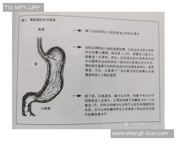 北京网球队快攻战术解析与训练策略探讨 北京网球队快攻战术解析与训练策略探讨